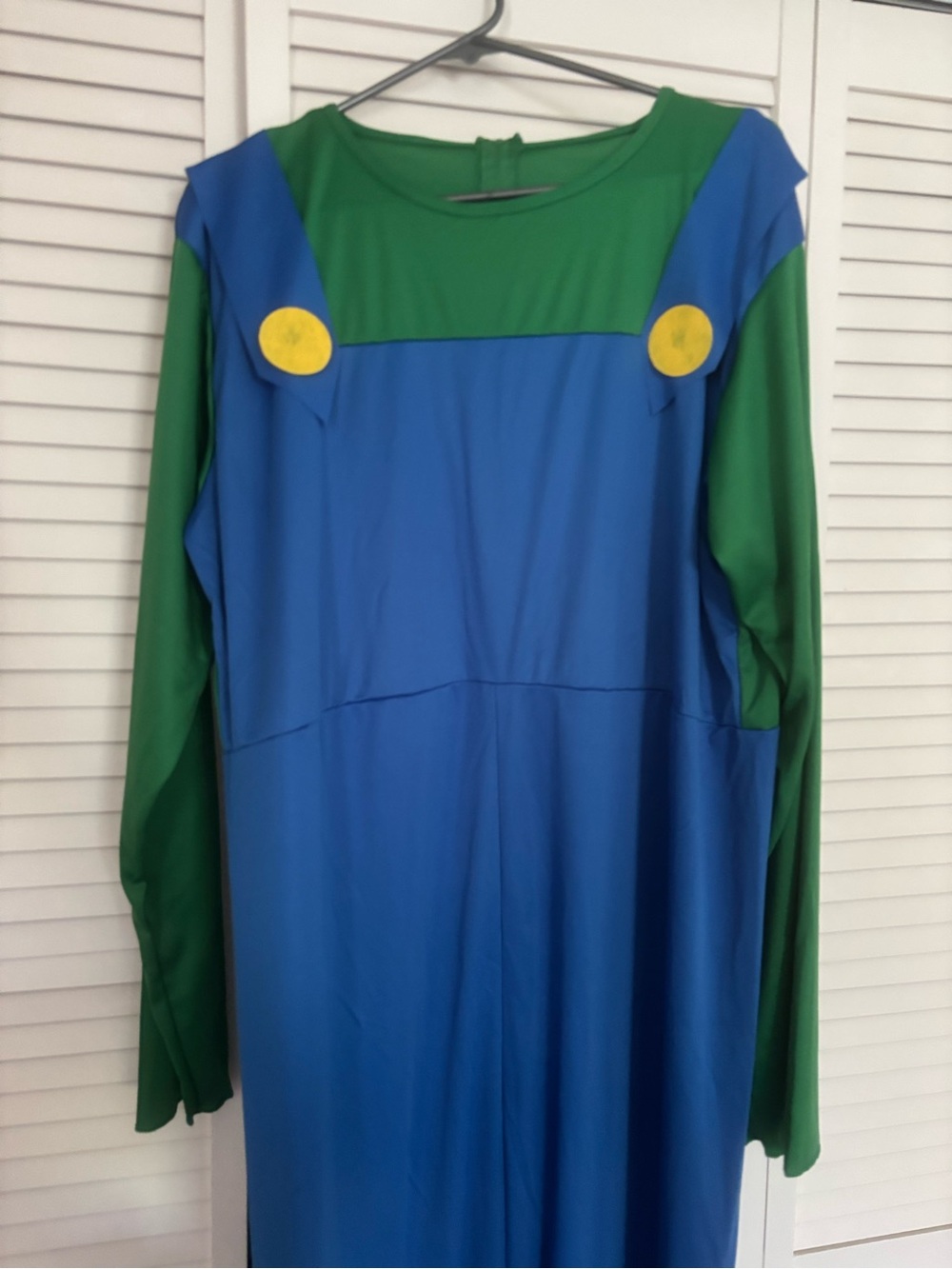 Adult Luigi Mario Bros costume